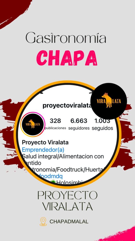 Proyecto Viralata