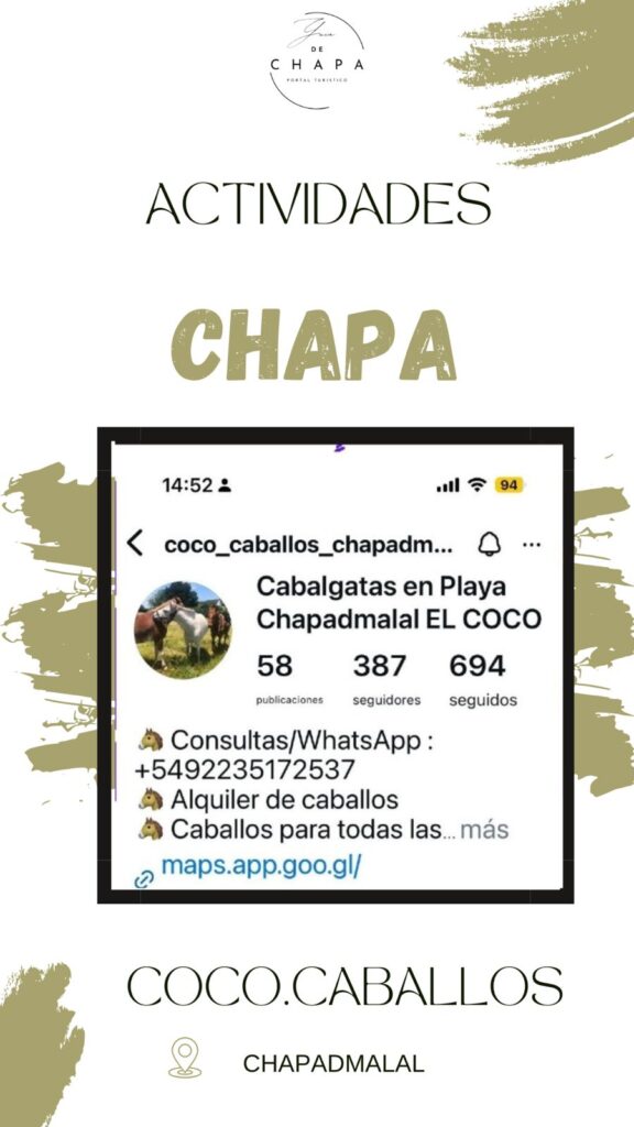 El Coco Caballos