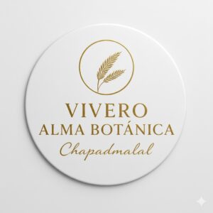 Vivero Alma Botanica