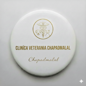 Clinica Veterinaria Chapadmalal
