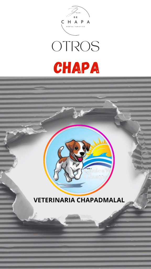 Clinica Veterinaria Chapadmalal